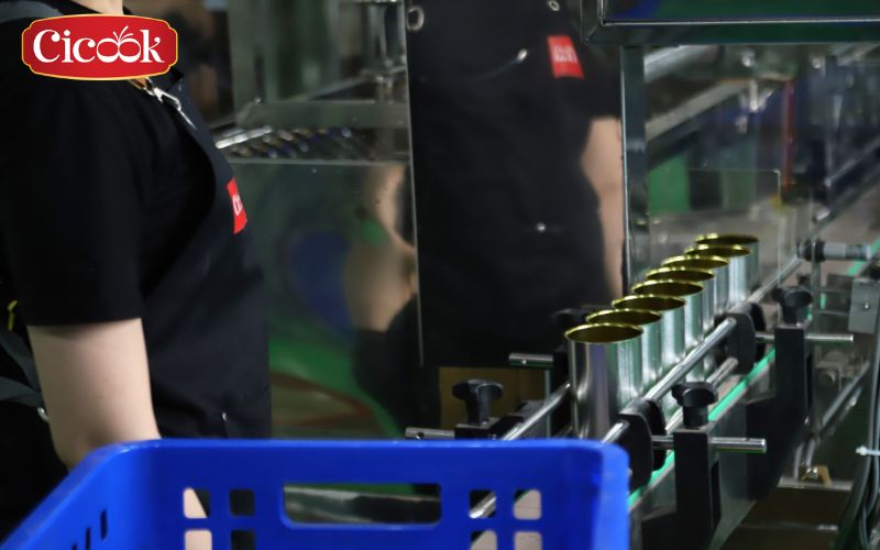 Cicook - Good Seasoning Manufacturer in Vietnam with International Standards