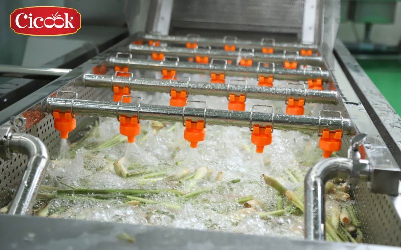 Cicook – A Quality FMCG Exporter in Vietnam