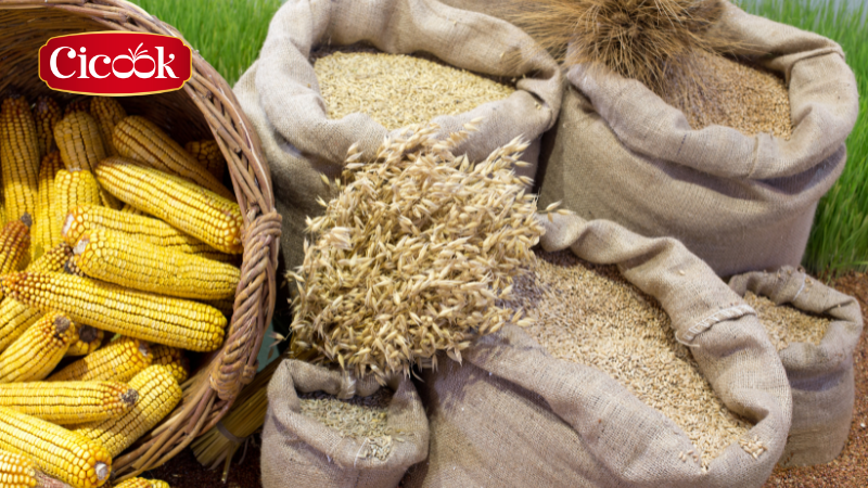 Tại sao nông sản sạch là xu hướng tương lai trong ngành thực phẩm?