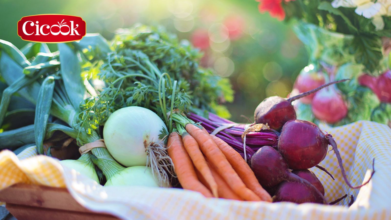 Gia vị Cicook - Lựa chọn dinh dưỡng cao cấp dành cho gia đình bạn