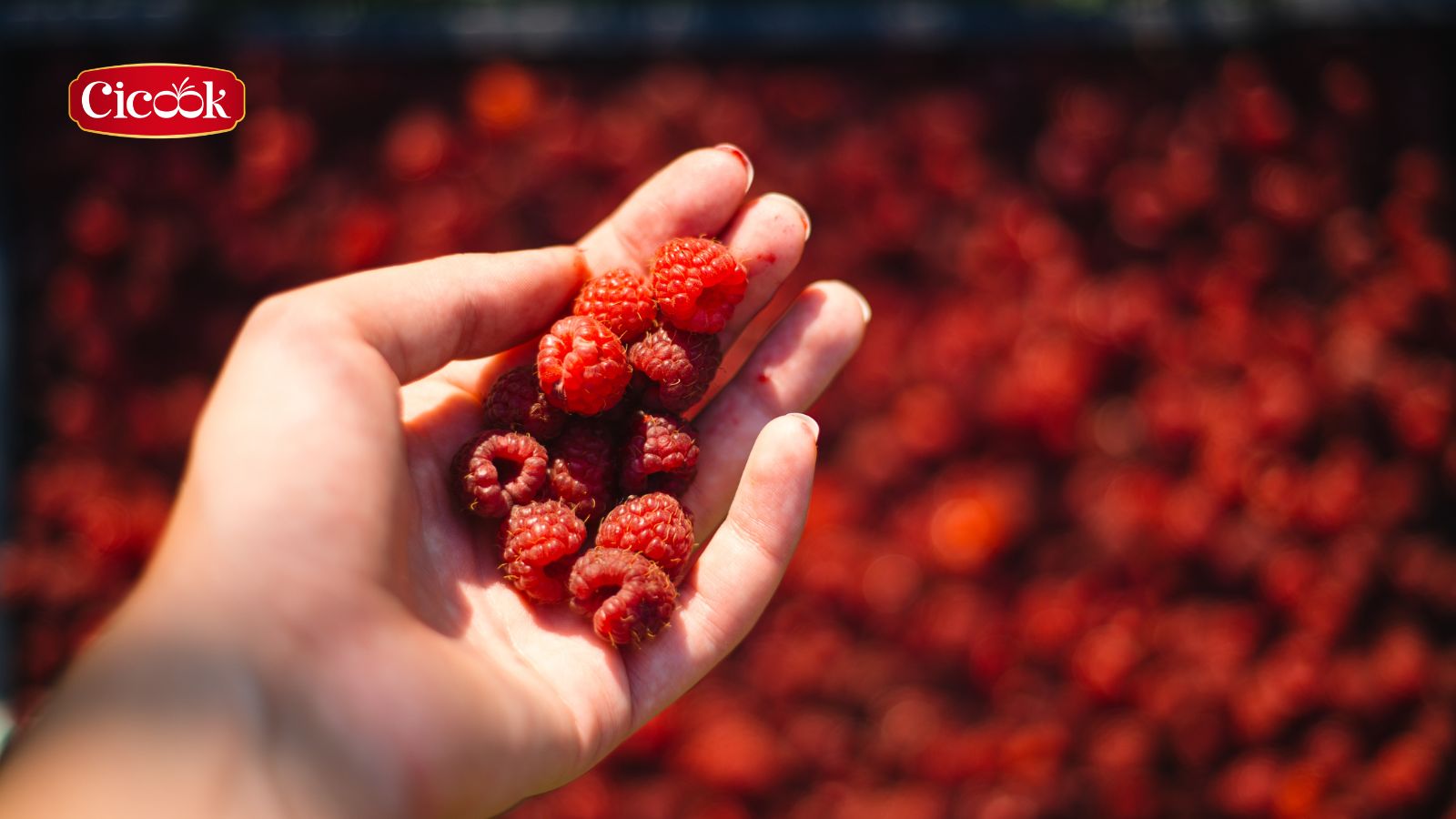 Thiền ẩm thực: nghệ thuật ăn uống chánh niệm