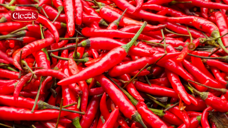 Vì sao ớt VietGAP đang được các công ty gia vị quan tâm