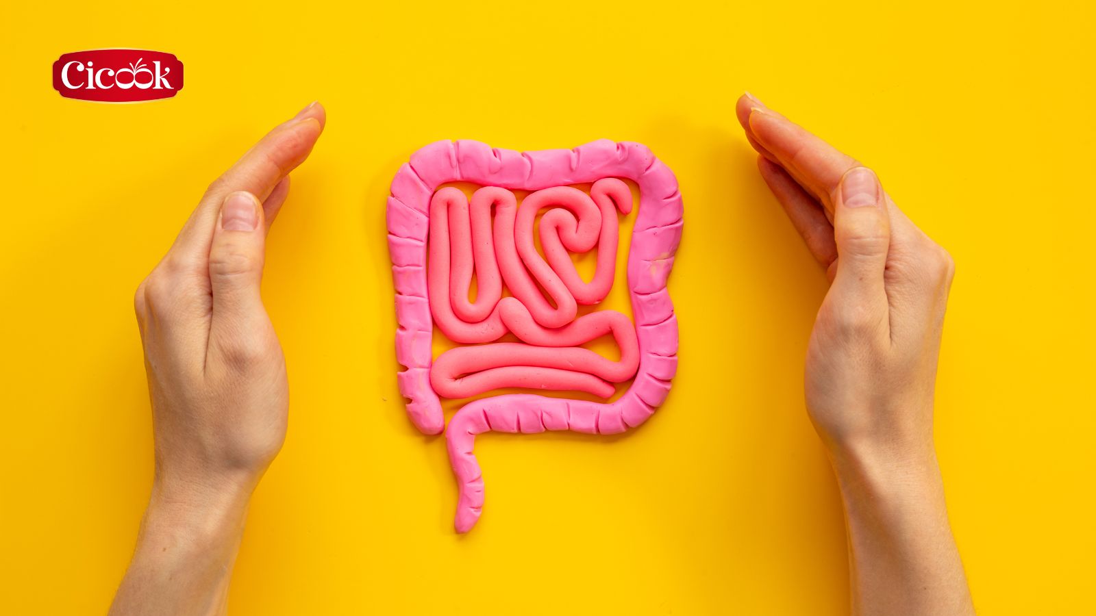 Chế độ ăn Paleo và sức khỏe đường ruột: giải pháp tự nhiên cho tiêu hóa khỏe mạnh