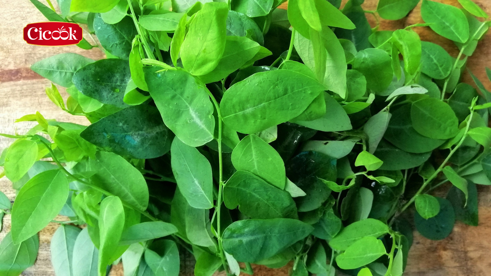 Giải đáp từ chuyên gia dinh dưỡng về vấn đề bầu ăn rau ngót được không