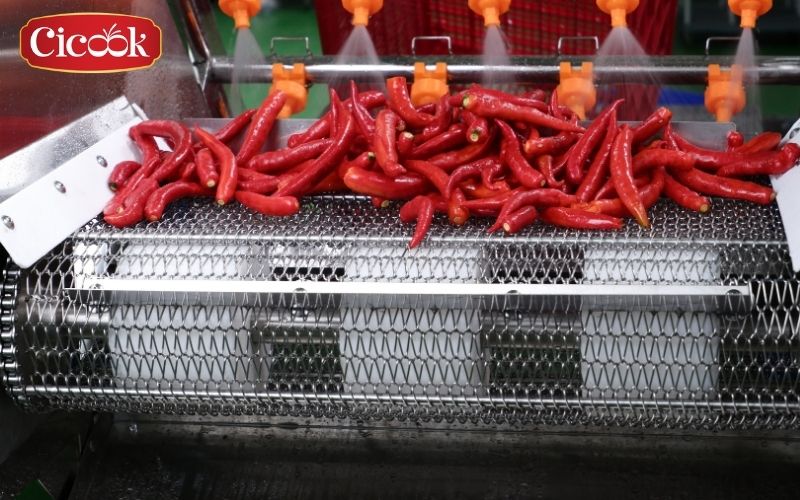 Cicook – A reputable and reliable spice exporter in Vietnam