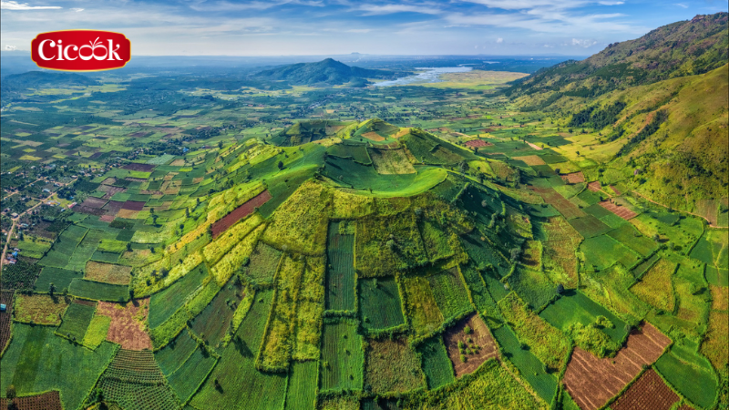 Nét văn hoá đặc sắc của vùng đất đỏ Tây Nguyên