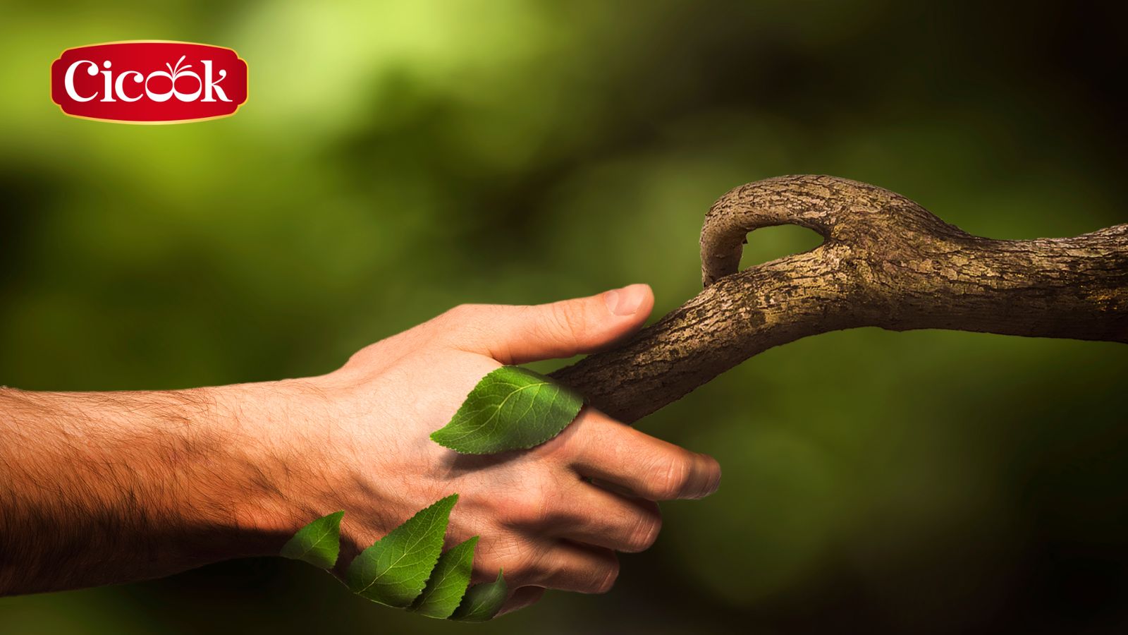 Thiền nhân ẩm thực là gì? - Lối sống hài hoà giữa con người và môi trường xung quanh