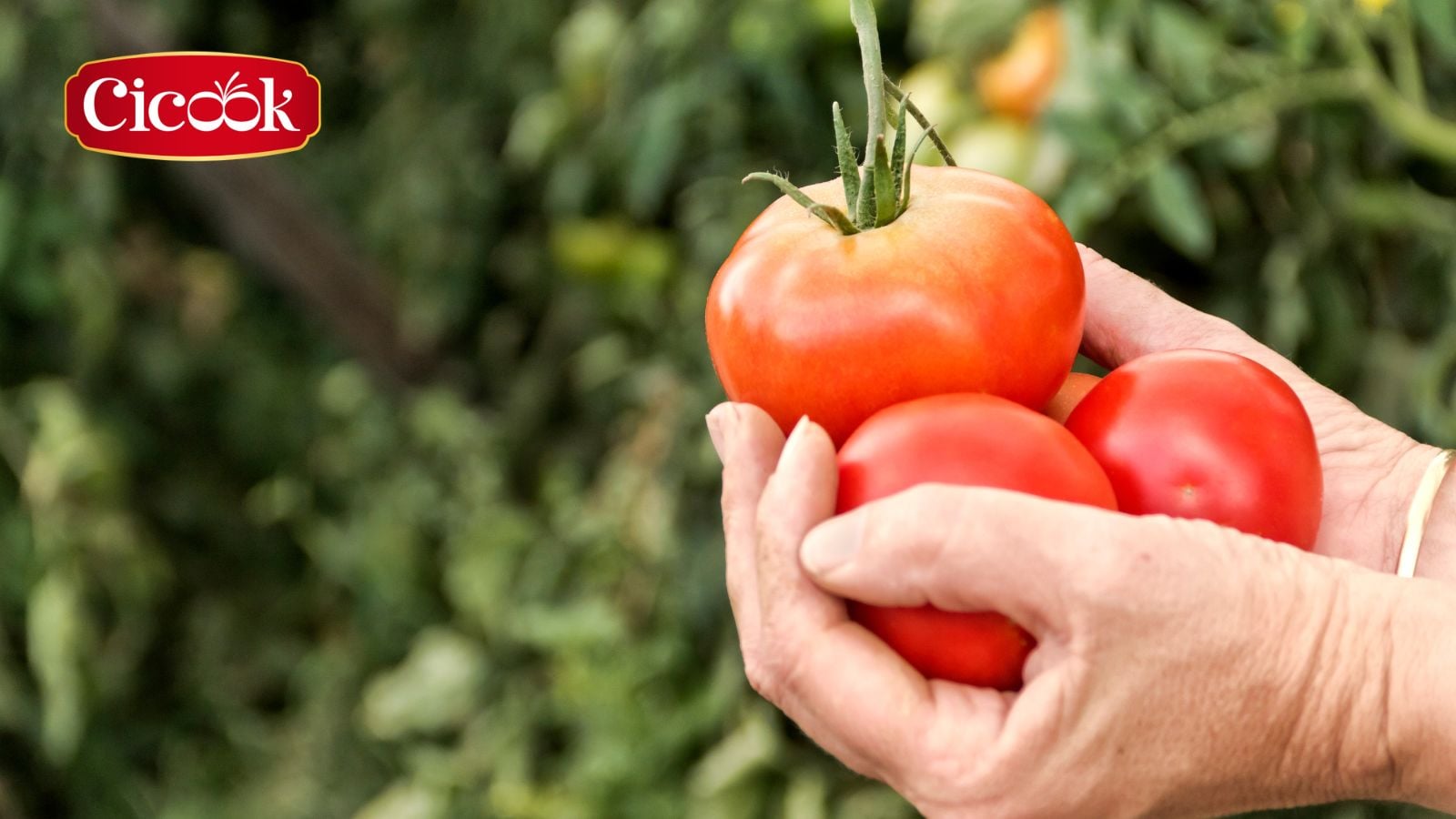 Lối sống thiền nhân ẩm thực và việc lựa chọn nguyên liệu