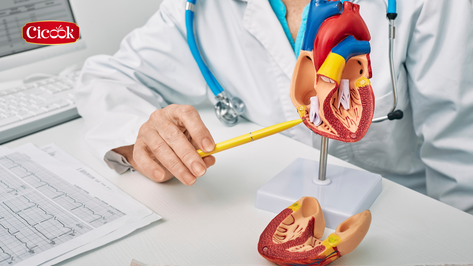 Thói quen không tốt cho tim mạch sát thủ thầm lặng