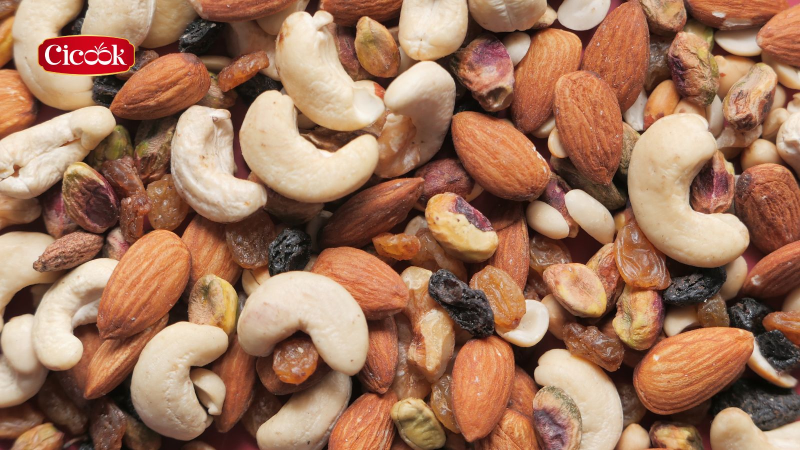 Các nguồn protein thực vật phong phú và đa dạng