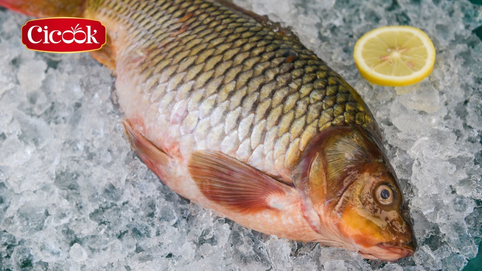 Cá chép trong món om dưa nổi tiếng