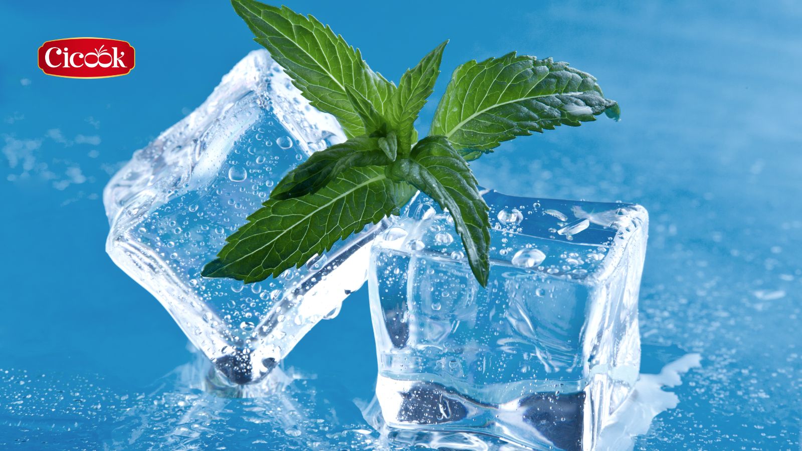 Sử dụng nước đá để sốc nhiệt