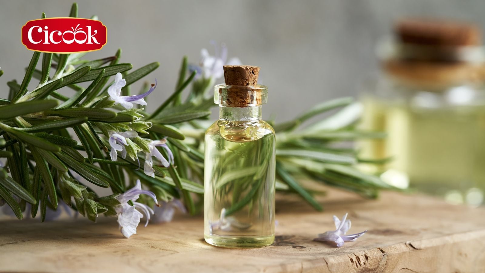 Sử dụng tinh chất hương thảo làm chất kháng khuẩn