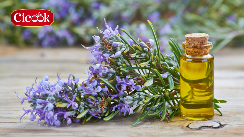 Sử dụng hương thảo làm gia vị trong nấu ăn