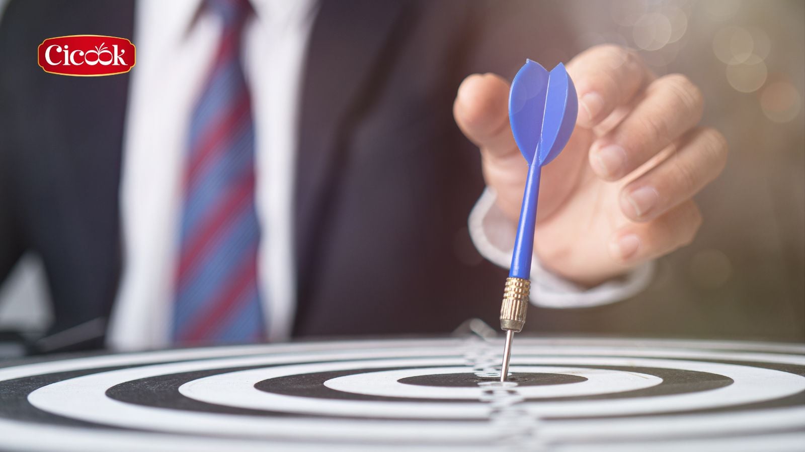 Tầm nhìn và sứ mệnh của Cicook