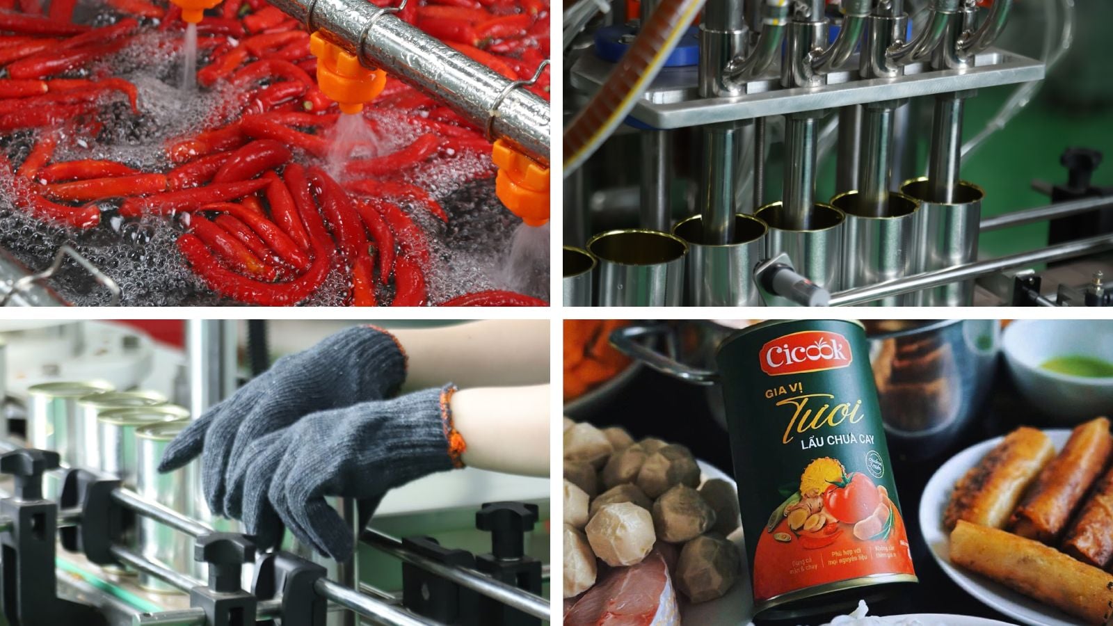 Nguyên liệu và quy trình sản xuất tại Cicook