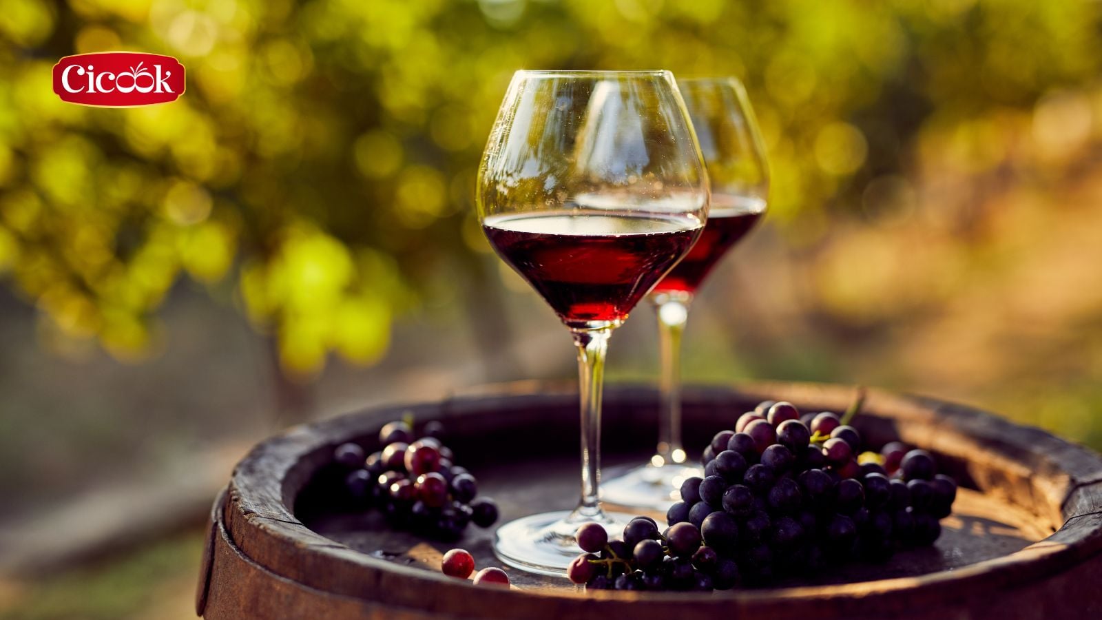 Rượu vang đỏ với lượng vừa phải