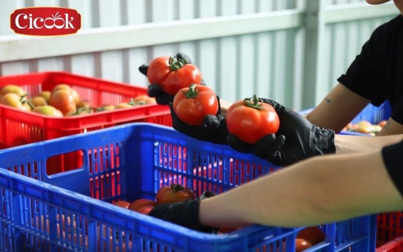 fmcg exporter in vietnam