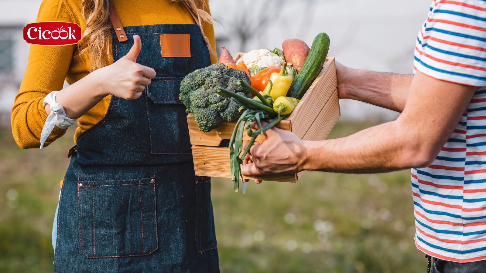 Sự gia tăng của xu hướng sử dụng gia vị hữu cơ