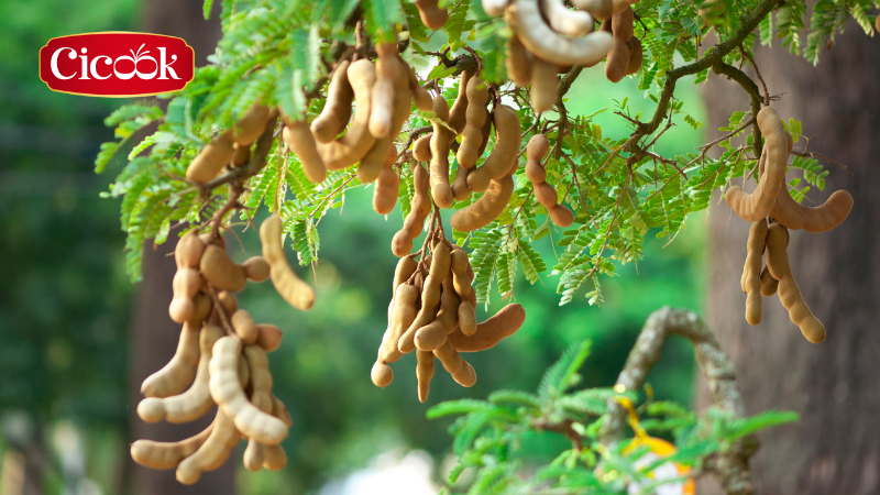 Gia Vị Tươi – thông điệp của Cicook cốt lõi