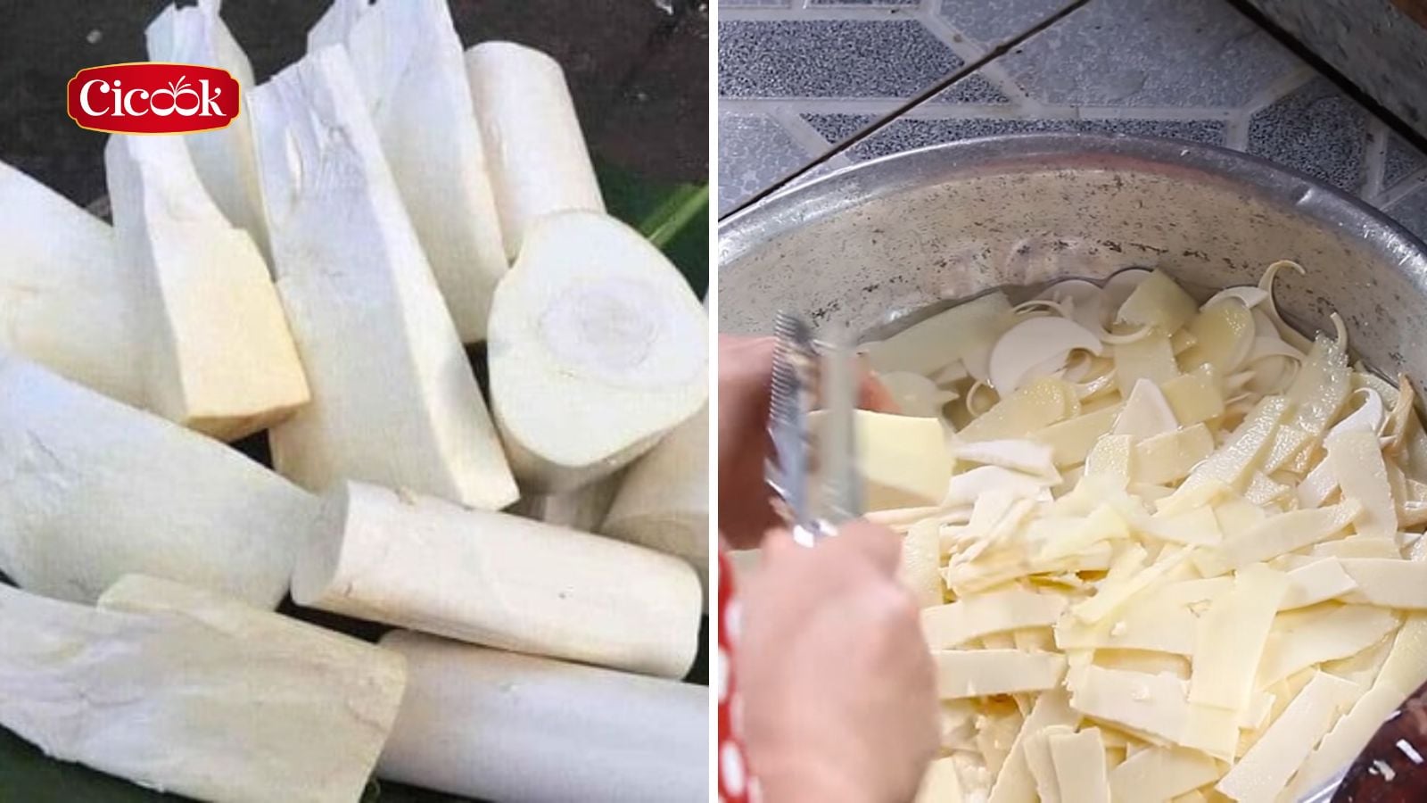 sơ chế củ hủ dừa