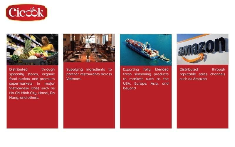 cicook seasoning supplier in vietnam