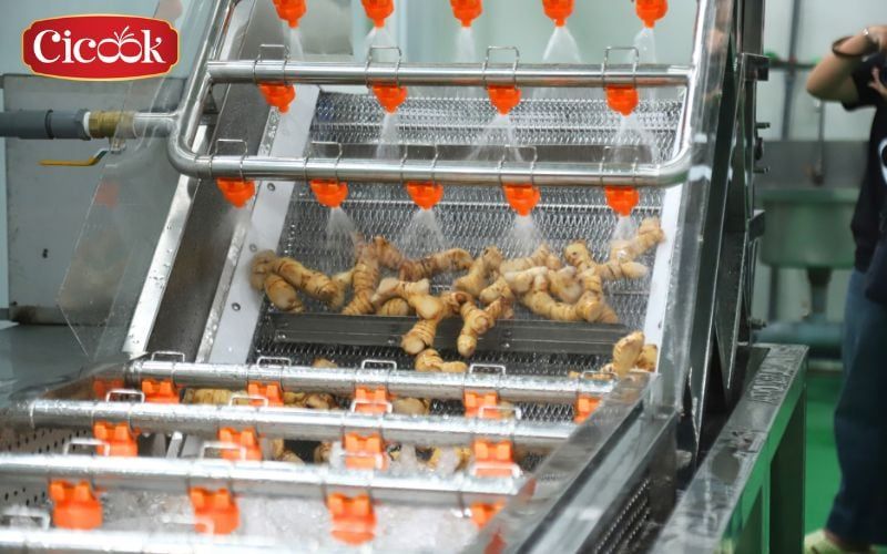 best seasoning company in vietnam