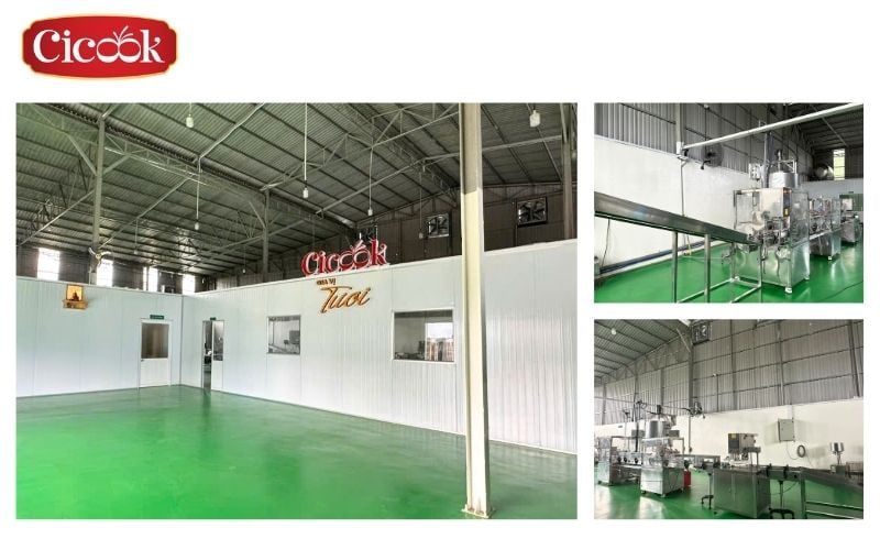 cicook seasoning manufacturer in vietnam