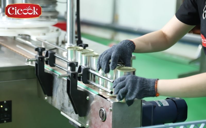 cicook seasoning manufacturer in vietnam