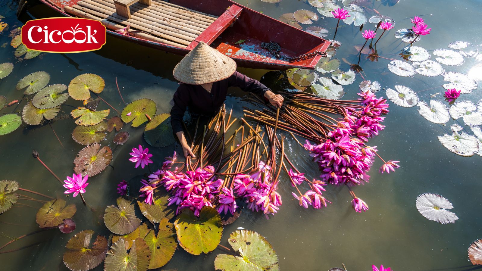 Đồng hành cùng nông sản Việt