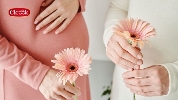 Ăn hải sản trong thai kỳ có gây hại cho thai nhi hay không?