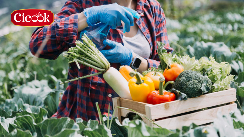 CiCook – nâng niu nông sản Việt