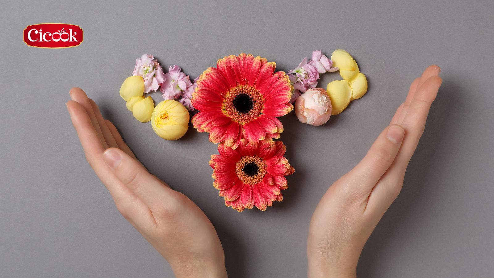 Sức khỏe âm đạo - Duy trì sự cân bằng hệ vi sinh