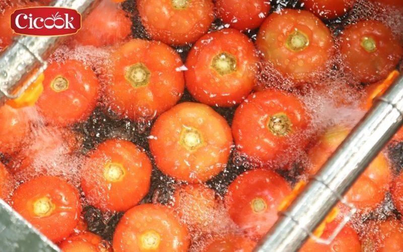 spice exporter in vietnam