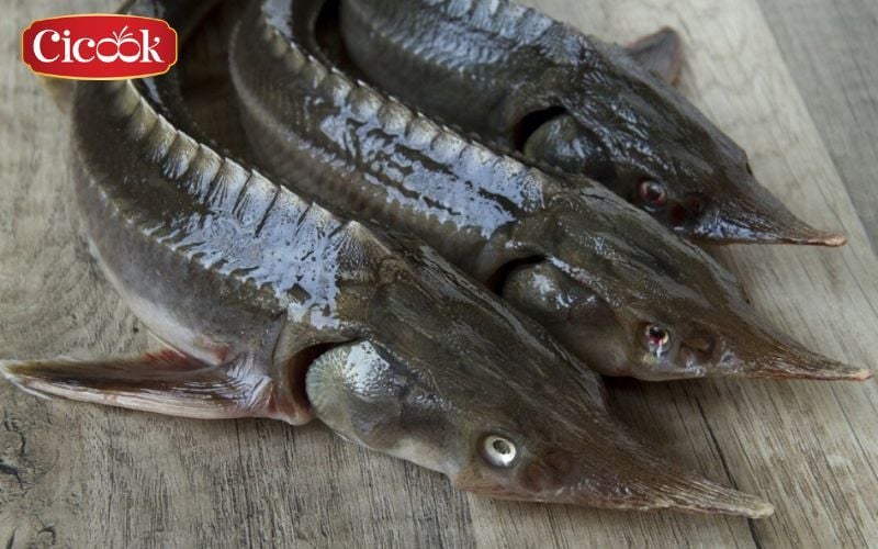 Spicy and sour sturgeon hotpot