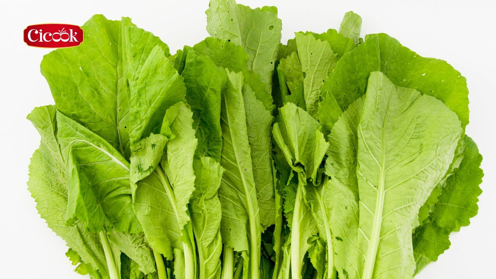 Rau cải bẹ xanh kỵ với thịt gà