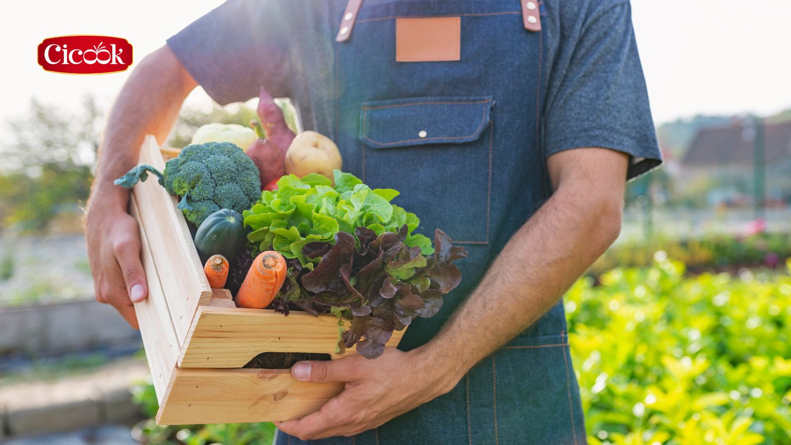 Tiêu chuẩn của thực phẩm hữu cơ