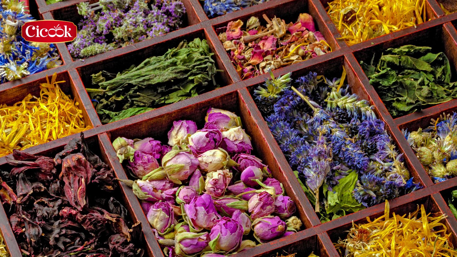 Công dụng của trà thảo mộc tốt cho sức khỏe