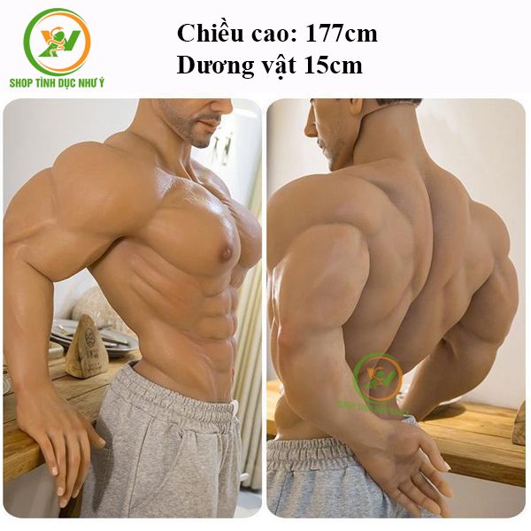 Búp bê tình dục nam Edward gương mặt Châu Âu body 6 múi