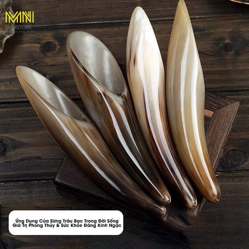 Ứng Dụng Của Sừng Trâu Bạc Trong Đời Sống – Giá Trị Phong Thủy & Sức Khỏe Đáng Kinh Ngạc