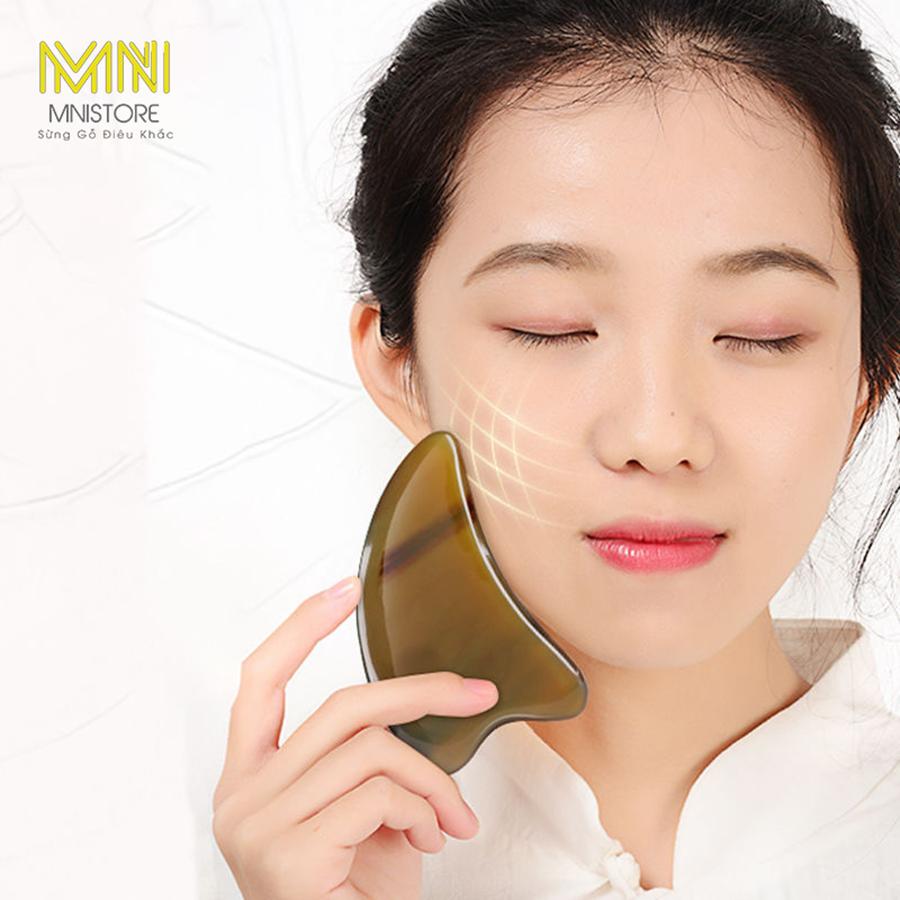 Một số loại massage sừng trâu