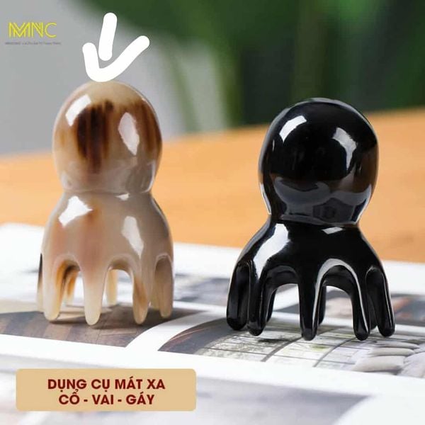 Lời Giải Đáp Từ 