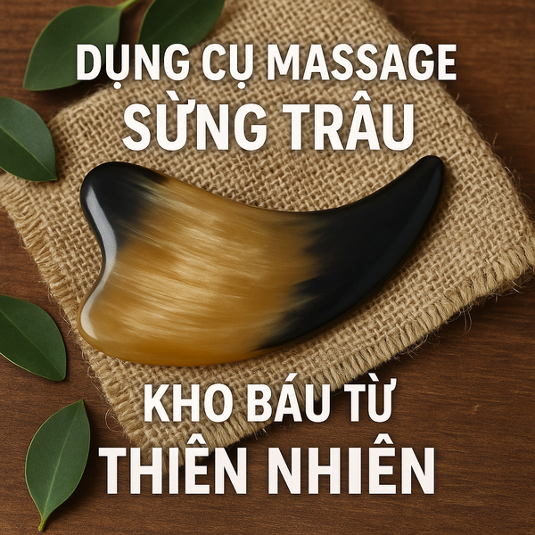 Dụng Cụ Massage Sừng Trâu: Kho Báu Từ Thiên Nhiên
