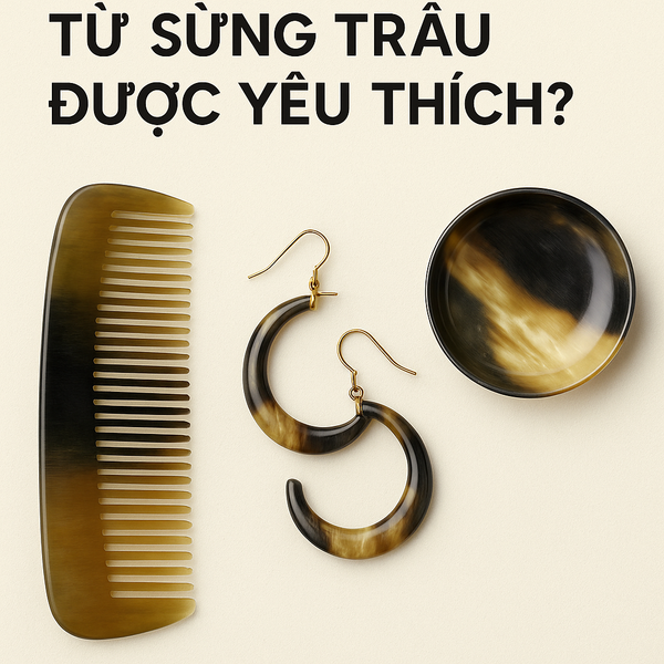 Vì Sao Các Sản Phẩm Từ Sừng Trâu Được Yêu Thích?