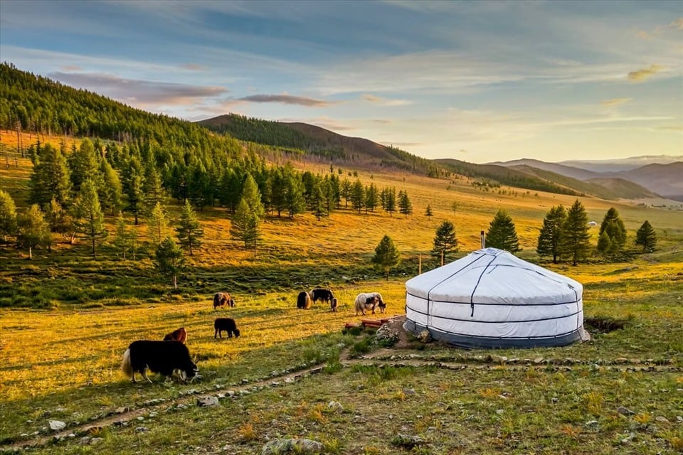 Trở thành người du mục trong hành trình Trung Á: Cưỡi ngựa, ngủ lều Yurt, lắng nghe tiếng gió