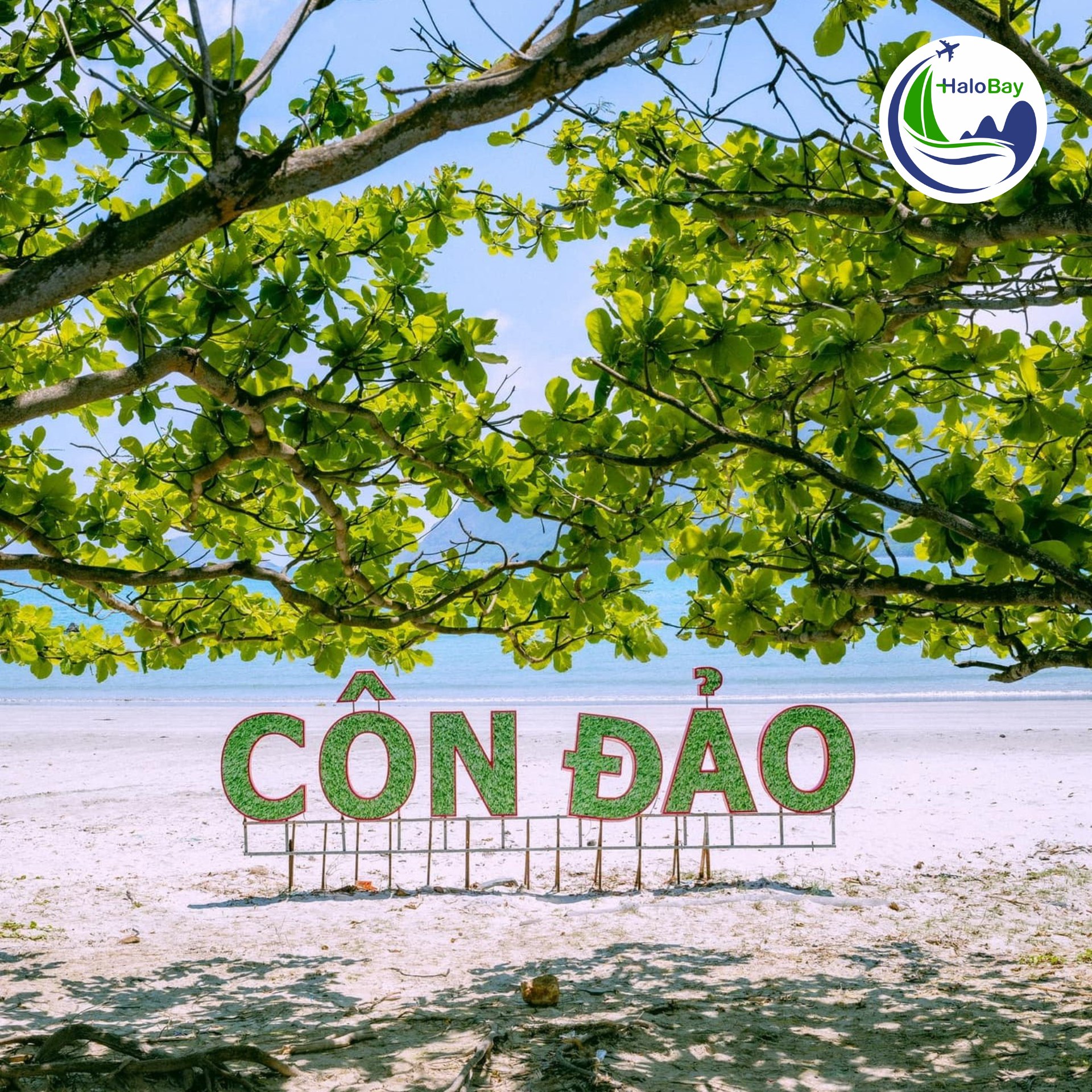 Khám Phá Côn Đảo: Thiên Đường Hoang Sơ Mang Dấu Ấn Lịch Sử