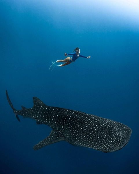 MALDIVES VÀ NHỮNG TRẢI NGHIỆM ĐÁNG NHỚ DƯỚI LÒNG ĐẠI DƯƠNG