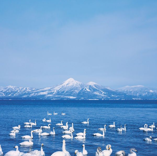 Hồ Inawashiro – Tuyệt tác thiên nhiên giữa lòng Fukushima