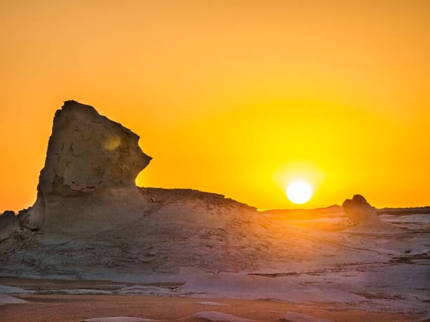 Sa mạc Bahariya: Hành trình khám phá Sa mạc Trắng & Sa mạc Đen đầy kỳ thú