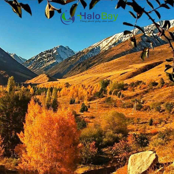 Trung Á Mùa Thu – Hành Trình Giữa Sắc Vàng, Tuyết Trắng Và Những Huyền Thoại Du Mục